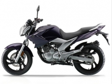 Фото Yamaha Fazer 250  №4